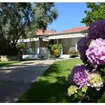 Сasa de vacaciones Aelia House - Elia Agios Ioannis (Lefkada)