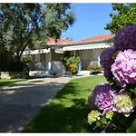 Сasa de vacaciones Aelia House - Elia Agios Ioannis (Lefkada)