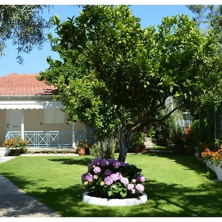 Aelia House - Elia Agios Ioannis (Lefkada)